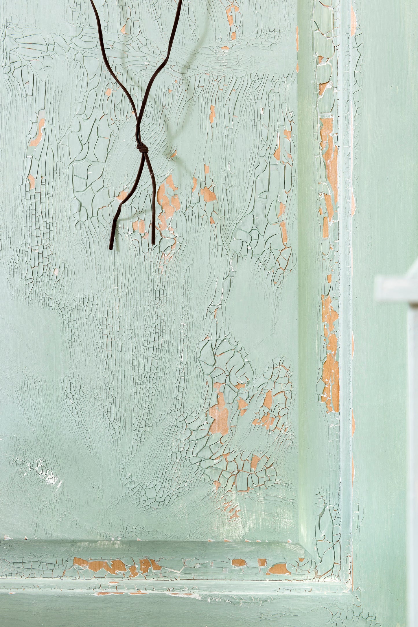 Texture craquelée