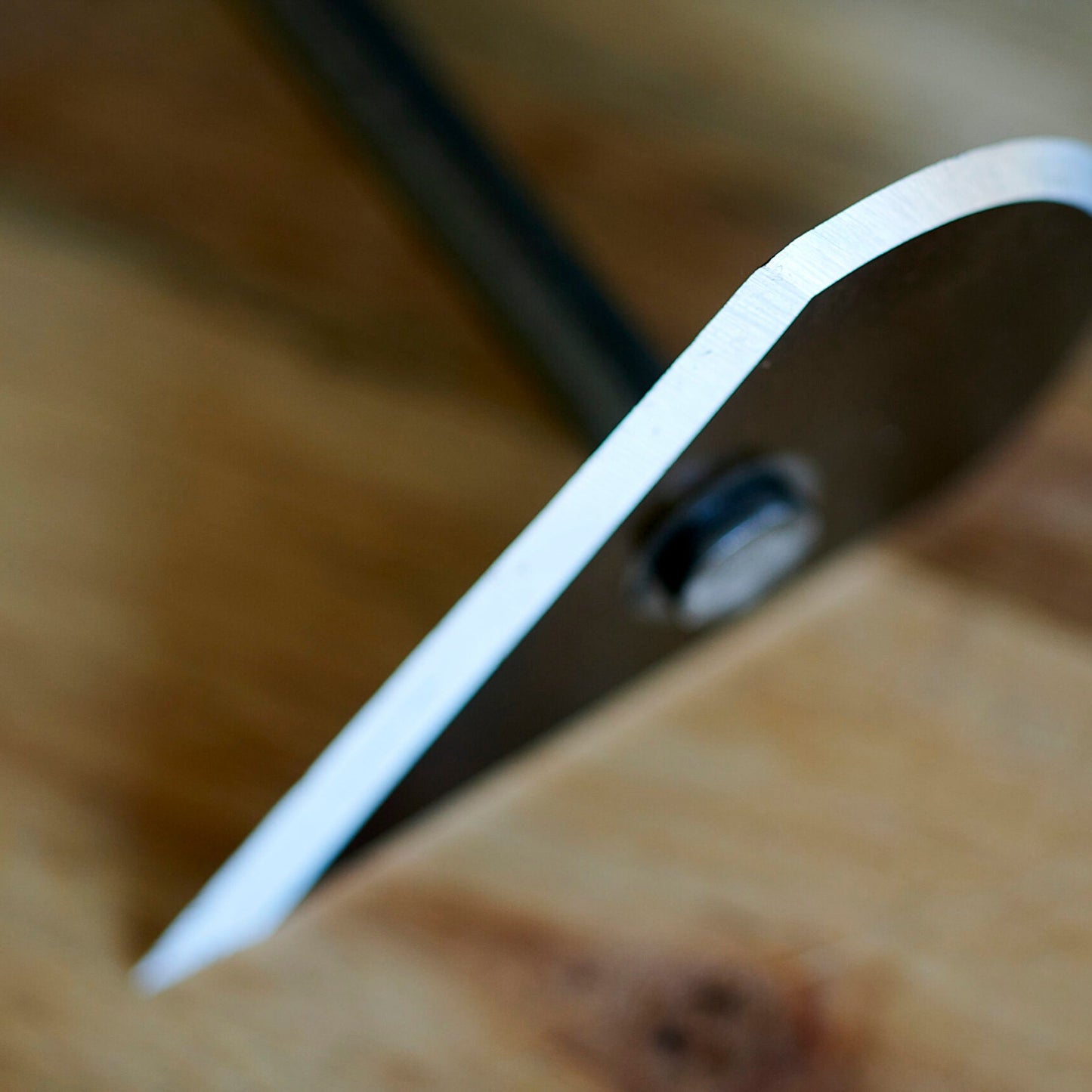 Staalmeester® Oval Scraper SC1 6.01.1023.00