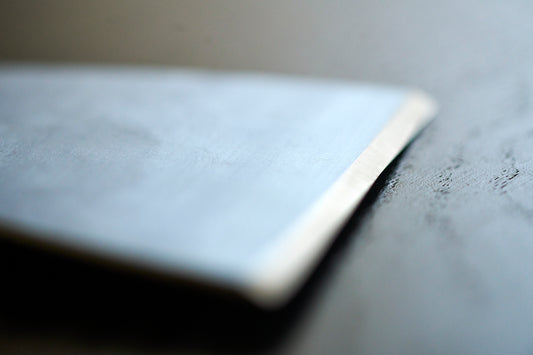 Staalmeester® Wide Scraper