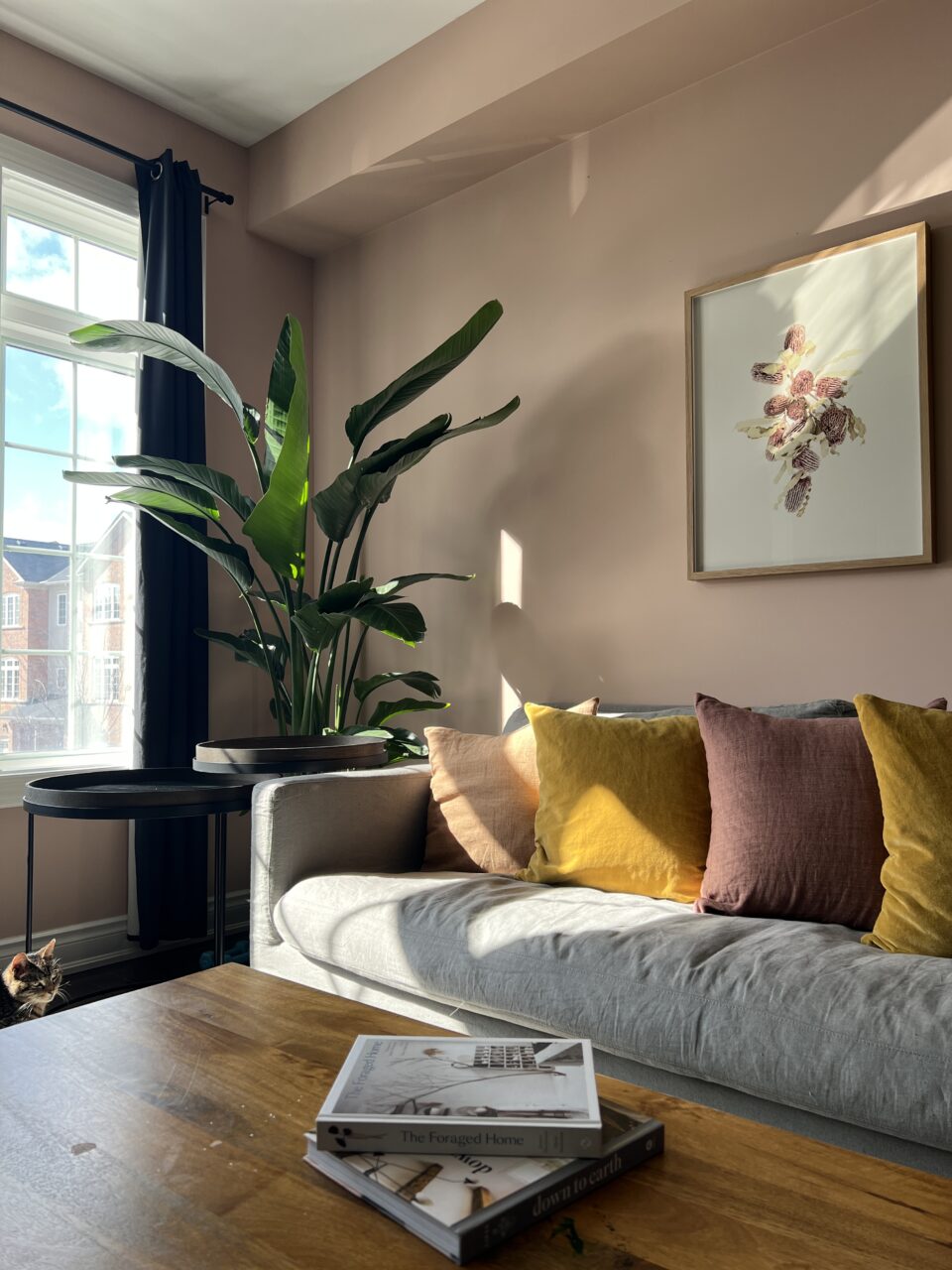 Living Room Elegance on a Modest Paint Budget