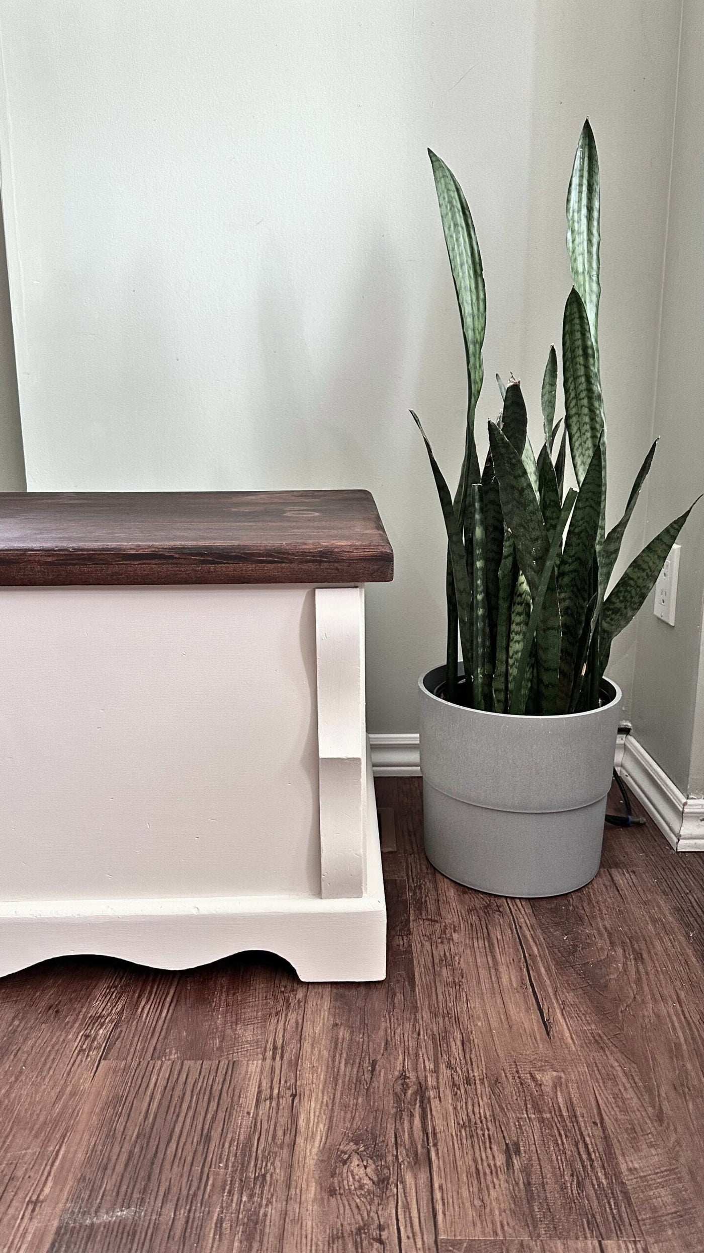 Fusions Walnut Stain and Finishing Oil A Guide
