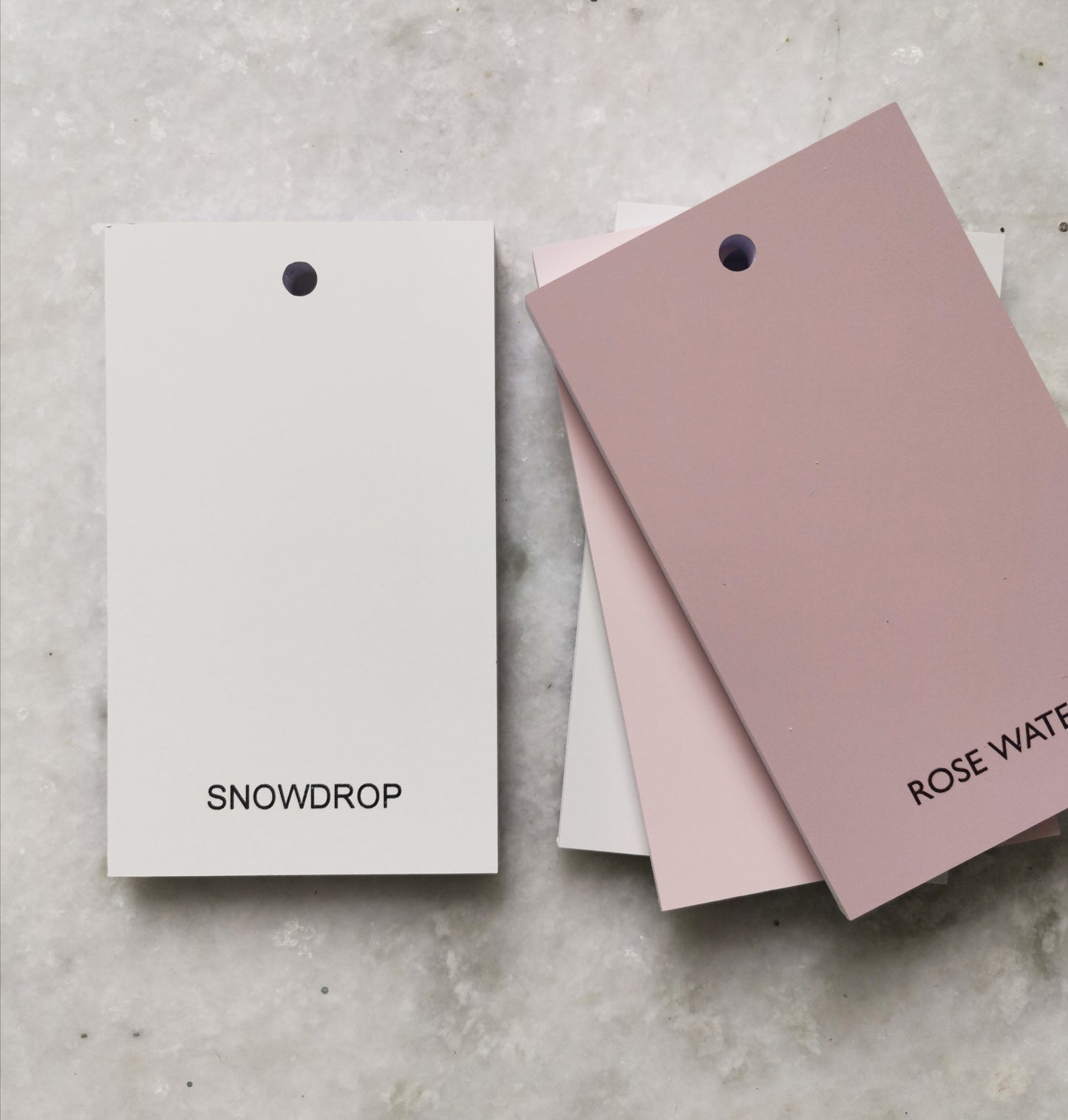 2025 Fusion Fan Deck ADD-ON - Snowdrop