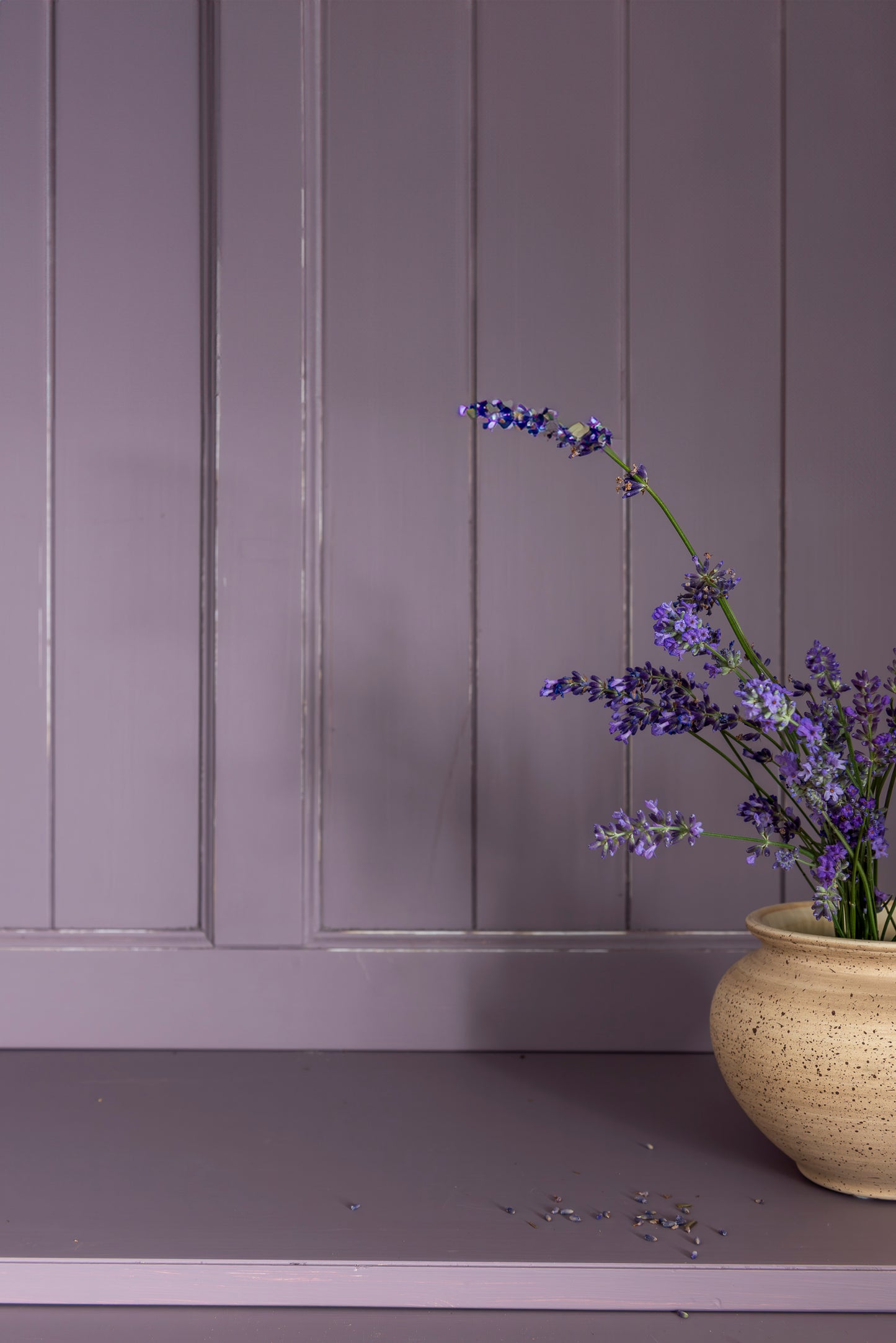 Lavender Haze