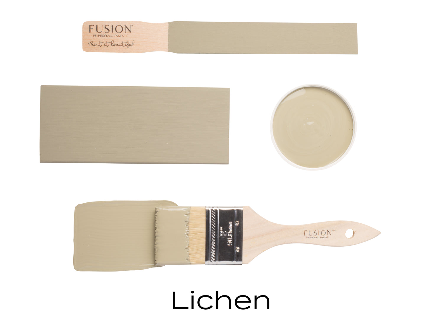 Lichen